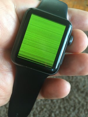 IMG_4317.jpeg IMG_4317.jpeg