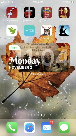 Screenshot 2020-11-02 at 11.04.52 AM.jpg