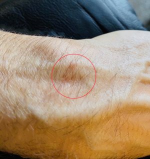 IMG_8954.JPG IMG_8954.JPG