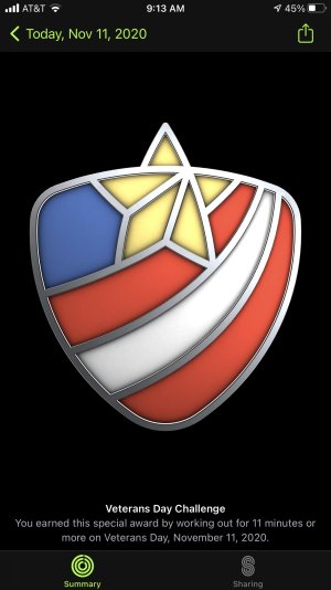 Veterans Day Badge 2020.jpg