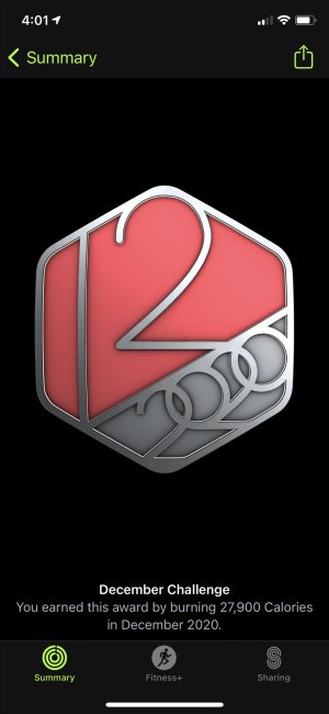 2020-12-30 16.01.57.jpg