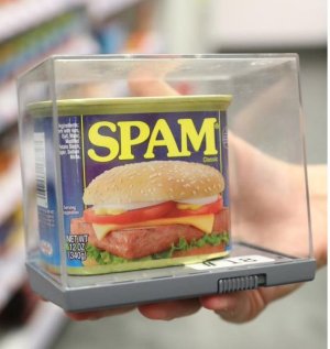 spam in a lock box.jpg